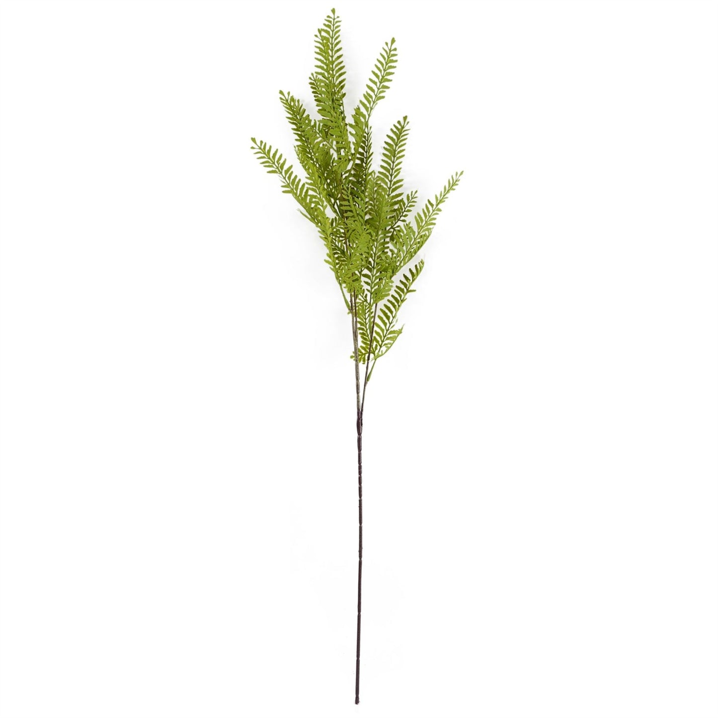 Stunning 70cm Red Lily & Fern Arrangement in Elegant Silver Glass Vase - plants - express.com