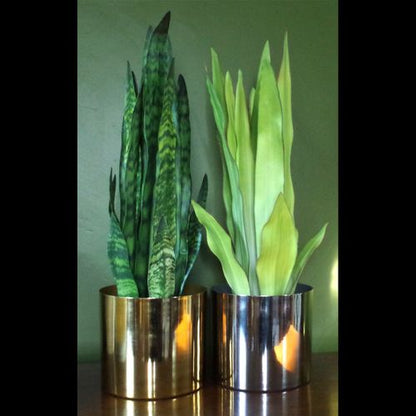 Stunning 70cm Sansevieria Zeylanica - Lifelike Faux Plant for Any Space - plants - express.com