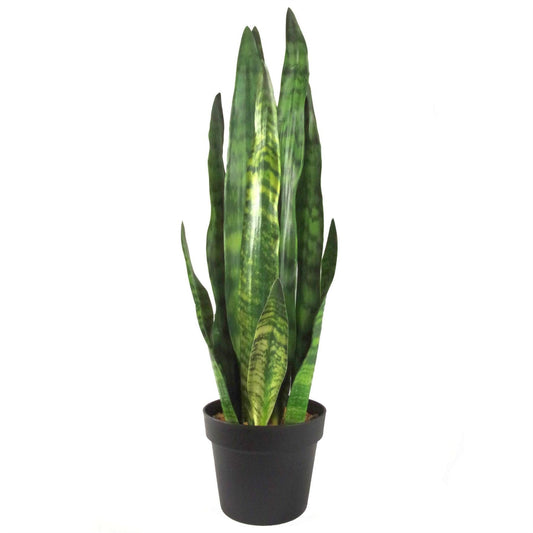 Stunning 70cm Sansevieria Zeylanica - Lifelike Faux Plant for Any Space - plants - express.com