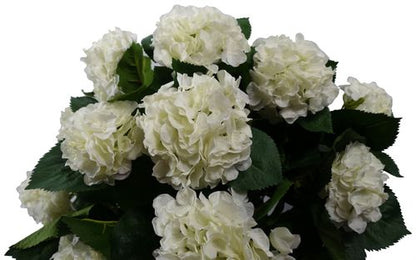 Stunning 70cm White Silk Hydrangea Bush in a Stylish Potted Display - plants - express.com