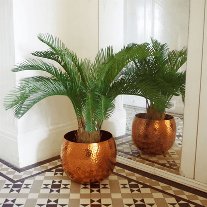 Stunning 80cm Artificial Cycas Palm Tree | Lifelike Tropical Decor - plants - express.com