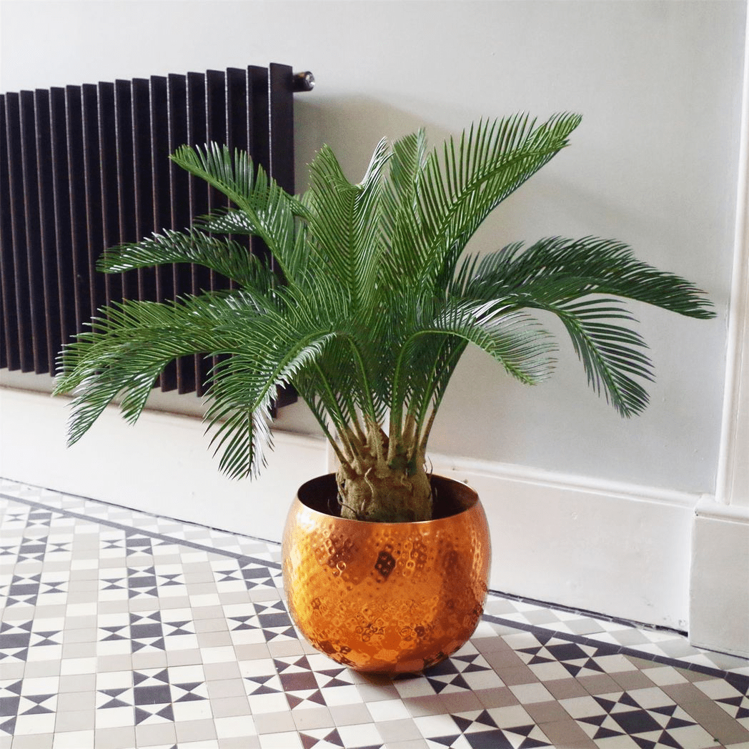 Stunning 80cm Artificial Cycas Palm Tree | Lifelike Tropical Decor - plants - express.com