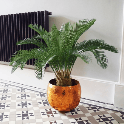 Stunning 80cm Artificial Cycas Palm Tree | Lifelike Tropical Decor - plants - express.com