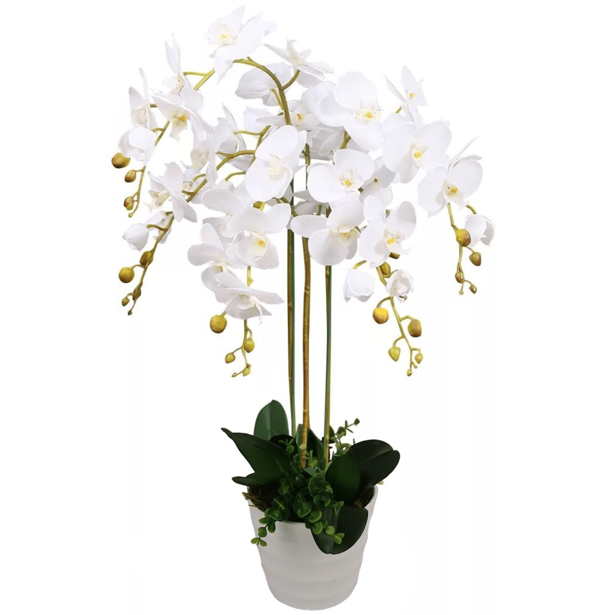 Stunning 85cm Artificial White Bush Orchid in Elegant White Pot - plants - express.com