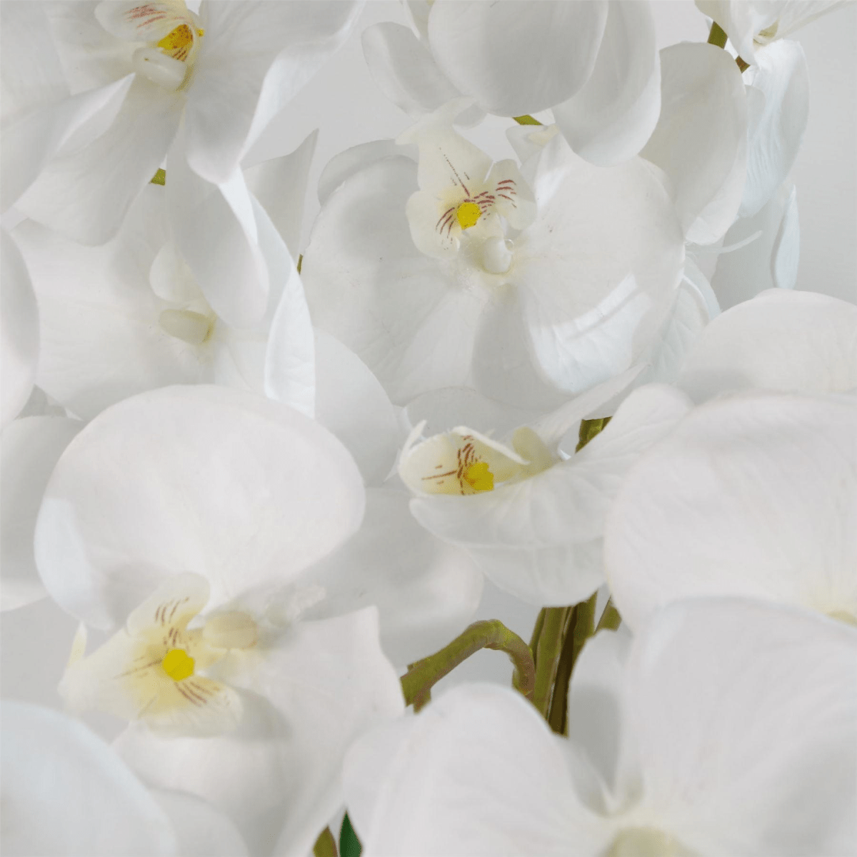 Stunning 85cm Artificial White Bush Orchid in Elegant White Pot - plants - express.com