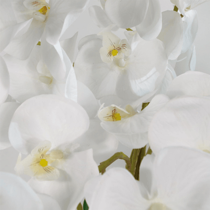 Stunning 85cm Artificial White Bush Orchid in Elegant White Pot - plants - express.com