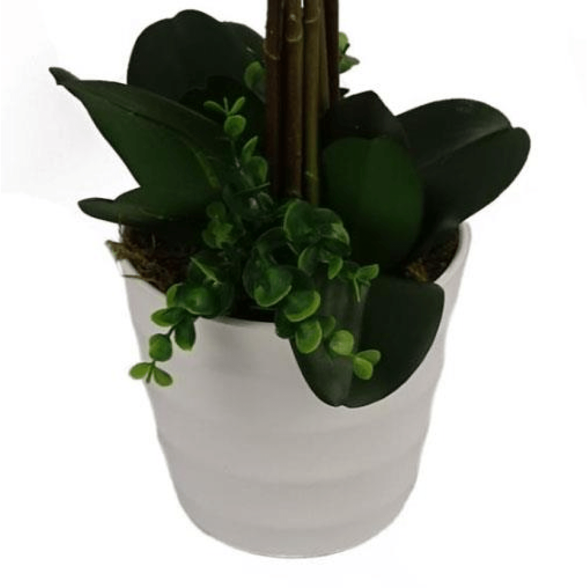 Stunning 85cm Artificial White Bush Orchid in Elegant White Pot - plants - express.com