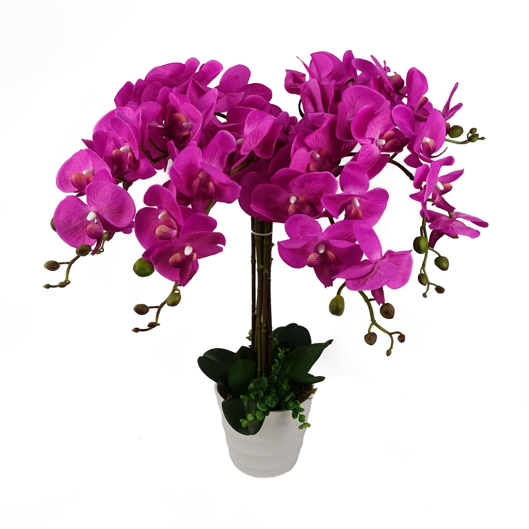Stunning 85cm Dark Pink XL Orchid - Lifelike Floral Decor for Any Space - plants - express.com