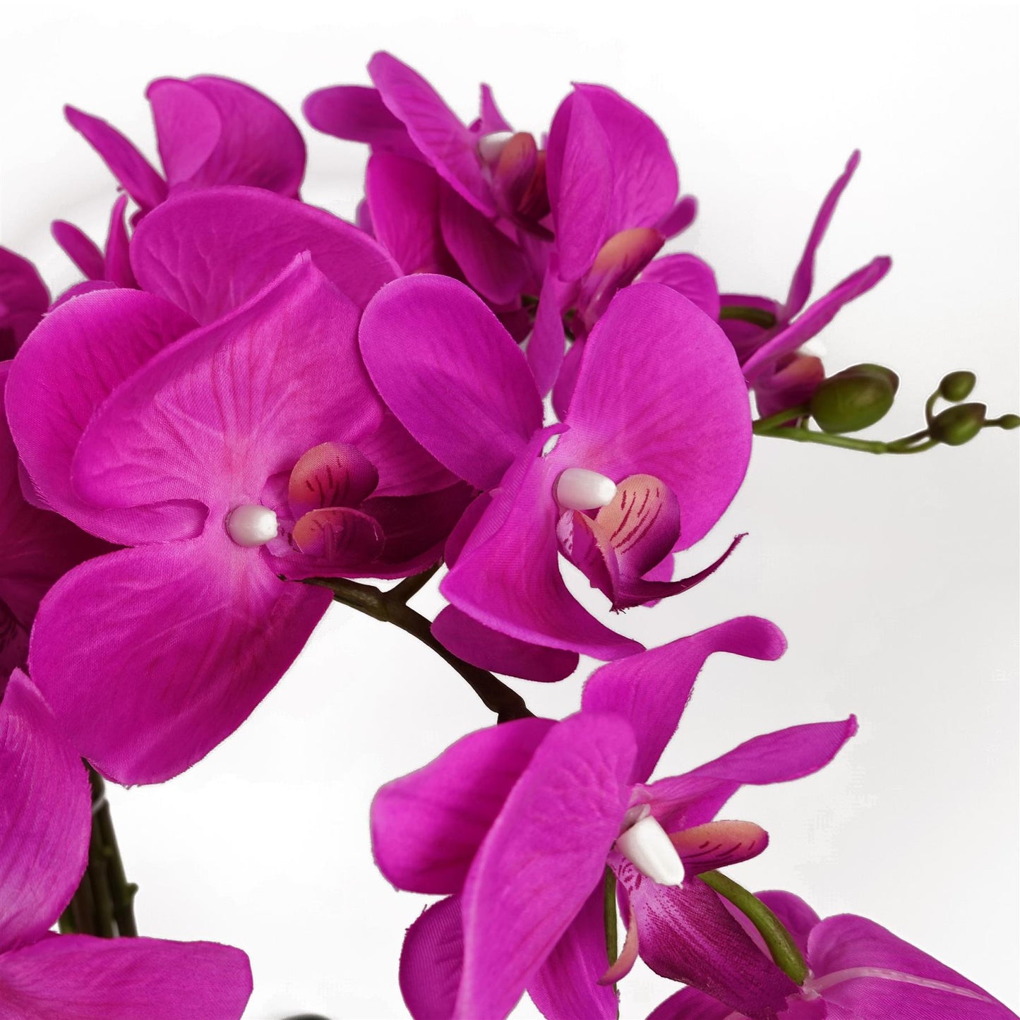 Stunning 85cm Dark Pink XL Orchid - Lifelike Floral Decor for Any Space - plants - express.com