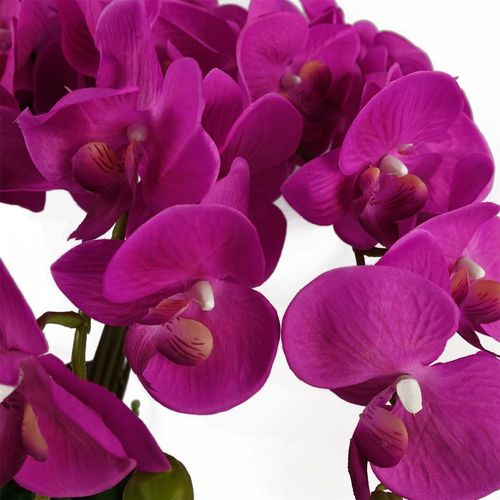 Stunning 85cm Deluxe Dark Pink Artificial Bush Orchid - Perfect Centerpiece! - plants - express.com