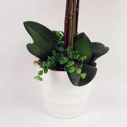 Stunning 85cm Deluxe Dark Pink Artificial Bush Orchid - Perfect Centerpiece! - plants - express.com