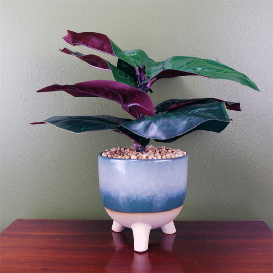 Stylish 35cm Artificial Ficus in Chic Teal Ceramic Planter - Low Maintenance Decor - plants - express.com