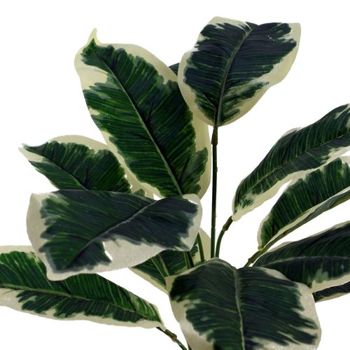Stylish 40cm Variegated Pothos Plant in Hand - Painted Cement Planter - plants - express.com