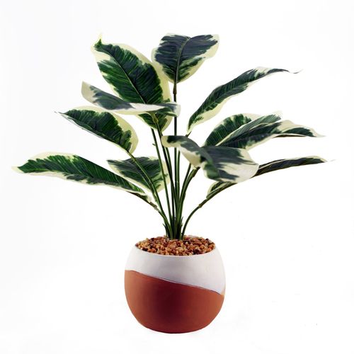 Stylish 40cm Variegated Pothos Plant in Hand - Painted Cement Planter - plants - express.com