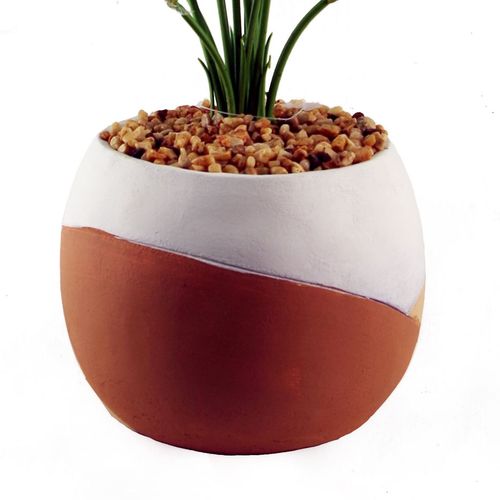Stylish 40cm Variegated Pothos Plant in Hand - Painted Cement Planter - plants - express.com
