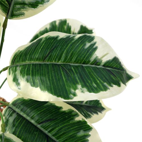Stylish 40cm Variegated Pothos Plant in Hand - Painted Cement Planter - plants - express.com