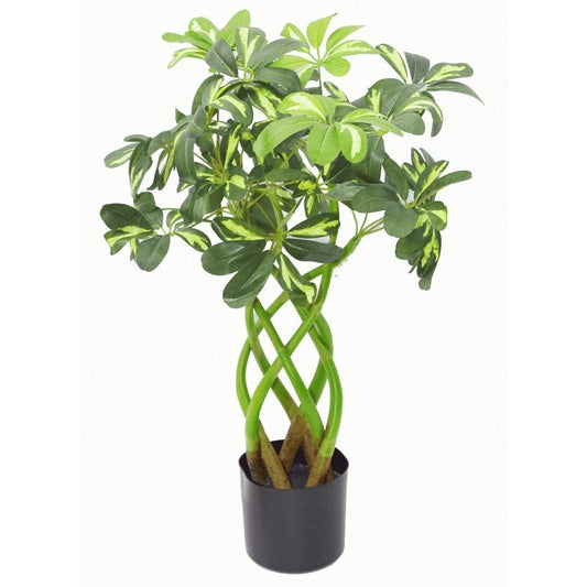 Stylish 70cm Twisted Stem Arboricola Bonsai - Realistic Silk Leaves - plants - express.com