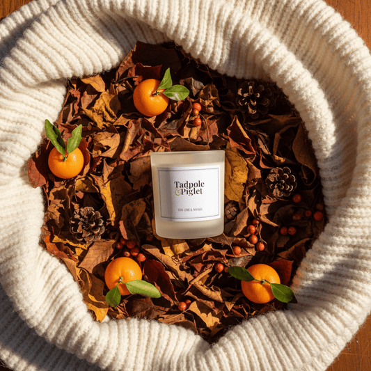 Thai Lime & Mango Scented Candle - plants - express.com