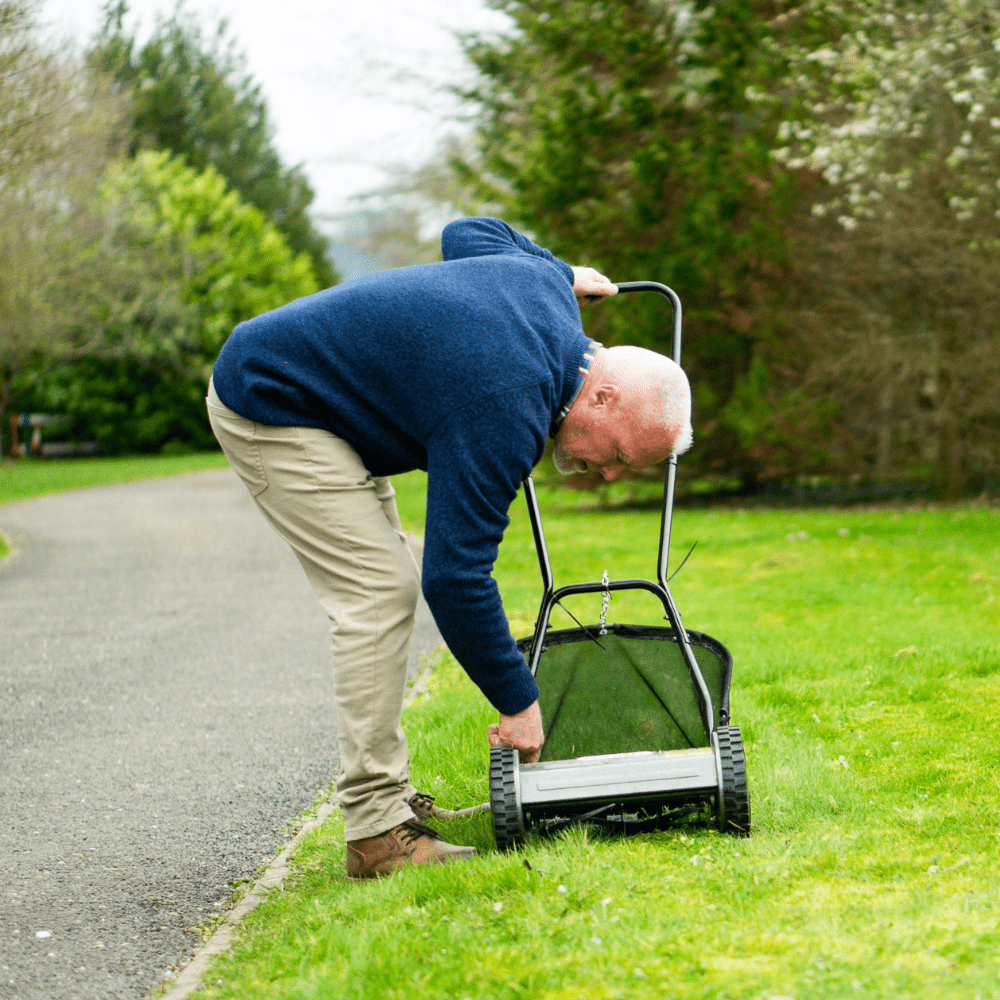 The Handy 30cm (12") Hand Lawnmower - plants - express.com