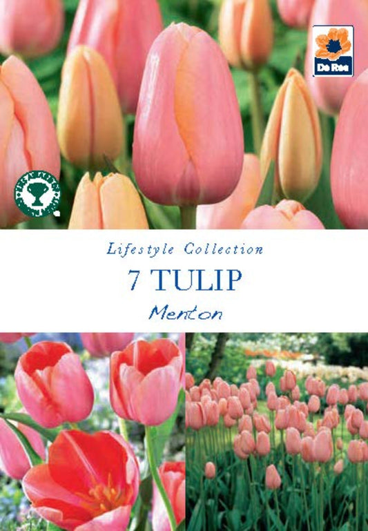 Tulip Menton - Coral Pink, 60cm, Award of Garden Merit, 7 Bulbs - plants - express.com