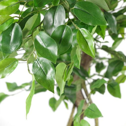 120cm Twisted Trunk Artificial Japanese Fruticosa Style Ficus Tree Silver Planter