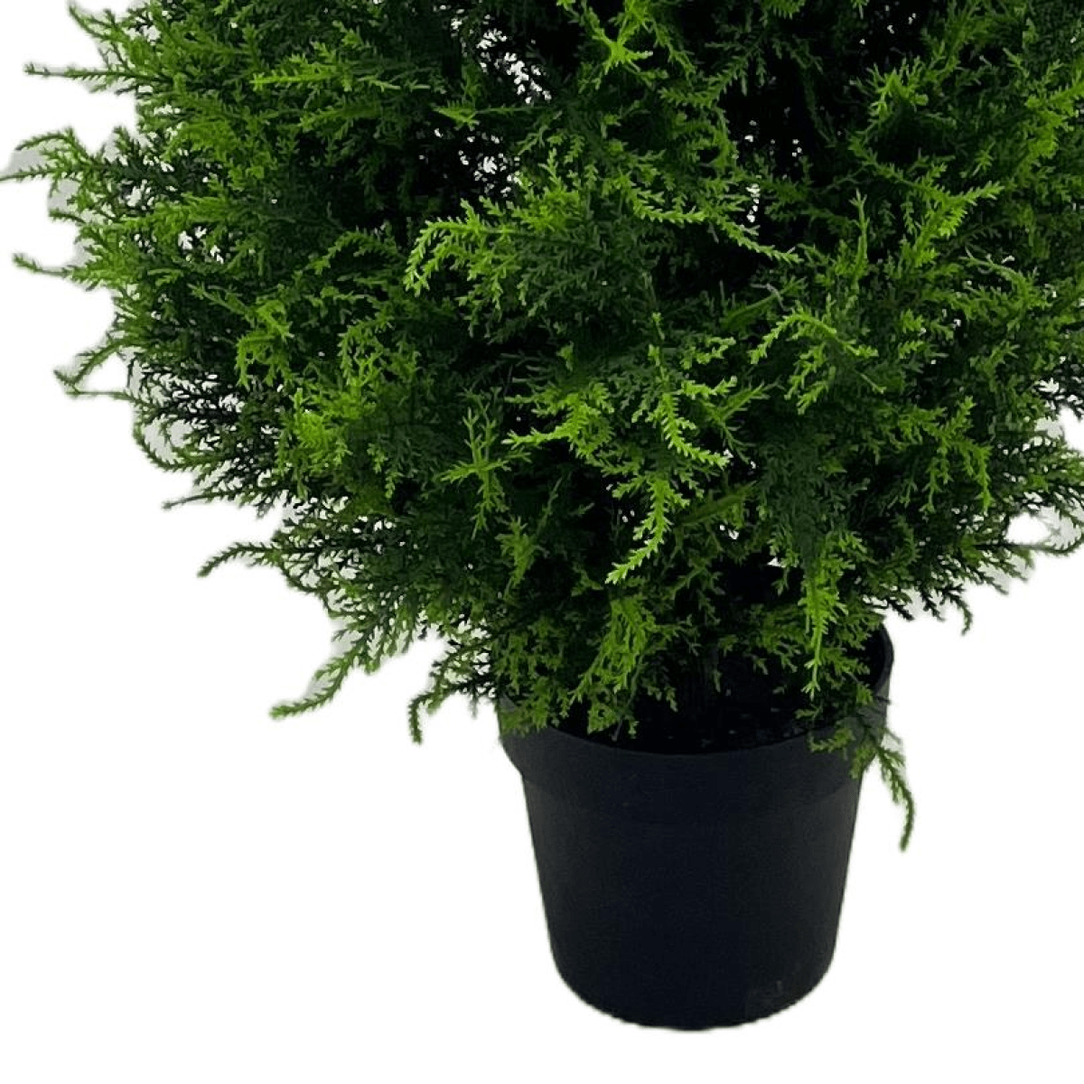 UV Resistant 150cm Cypress Cedar Topiary – Lifelike Outdoor Elegance - plants - express.com