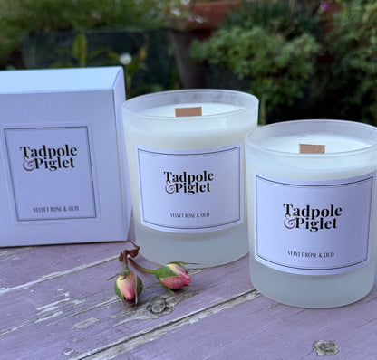 Velvet Rose & Oud Scented Candle - plants - express.com
