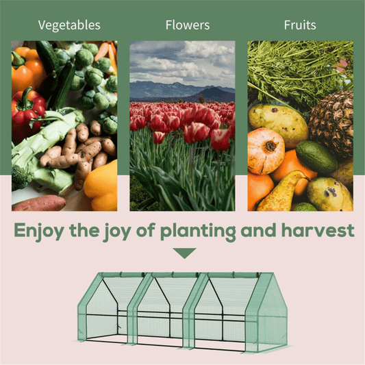 Versatile Mini Walk - in Greenhouse for Year - Round Plant Protection - plants - express.com