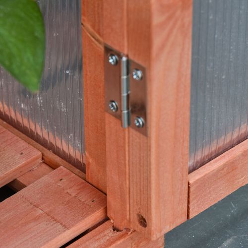 Versatile Polycarbonate Cold Frame Greenhouse for Thriving Plants - plants - express.com