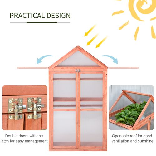 Versatile Polycarbonate Cold Frame Greenhouse for Thriving Plants - plants - express.com