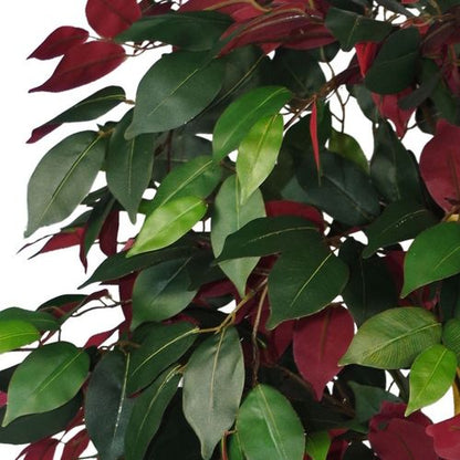 Vibrant 120cm (4ft) Artificial Capensia Tree - Realistic Green & Red Foliage - plants - express.com