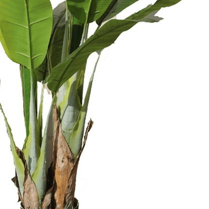 Vibrant 120cm Artificial Banana Tree - Hassle - Free Tropical Elegance! - plants - express.com