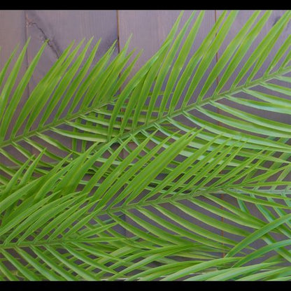 Vibrant 120cm Artificial Hanging Palm Leaf Plant - Perfect for Tropical Décor! - plants - express.com