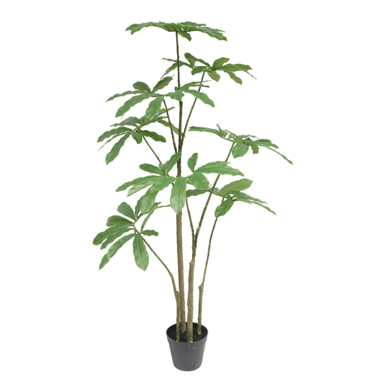 Vibrant 120cm Dwarf Umbrella Artificial Tree - Nature's Charm Indoors! - plants - express.com