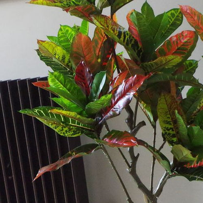Vibrant 130cm Artificial Codiaeum Variegatum Tree - Perfect Indoor Decor! - plants - express.com