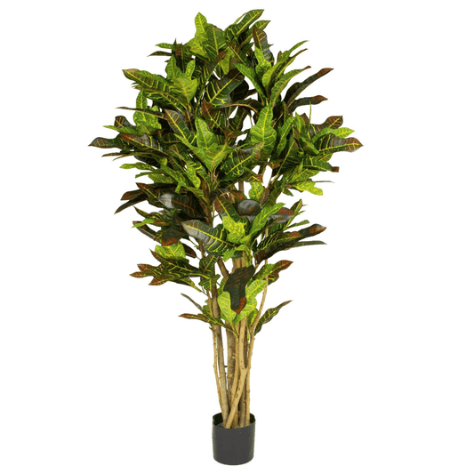 Vibrant 150cm Faux Croton Tree - Tropical Elegance for Effortless Décor - plants - express.com