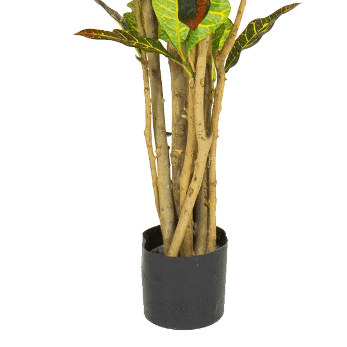 Vibrant 150cm Faux Croton Tree - Tropical Elegance for Effortless Décor - plants - express.com