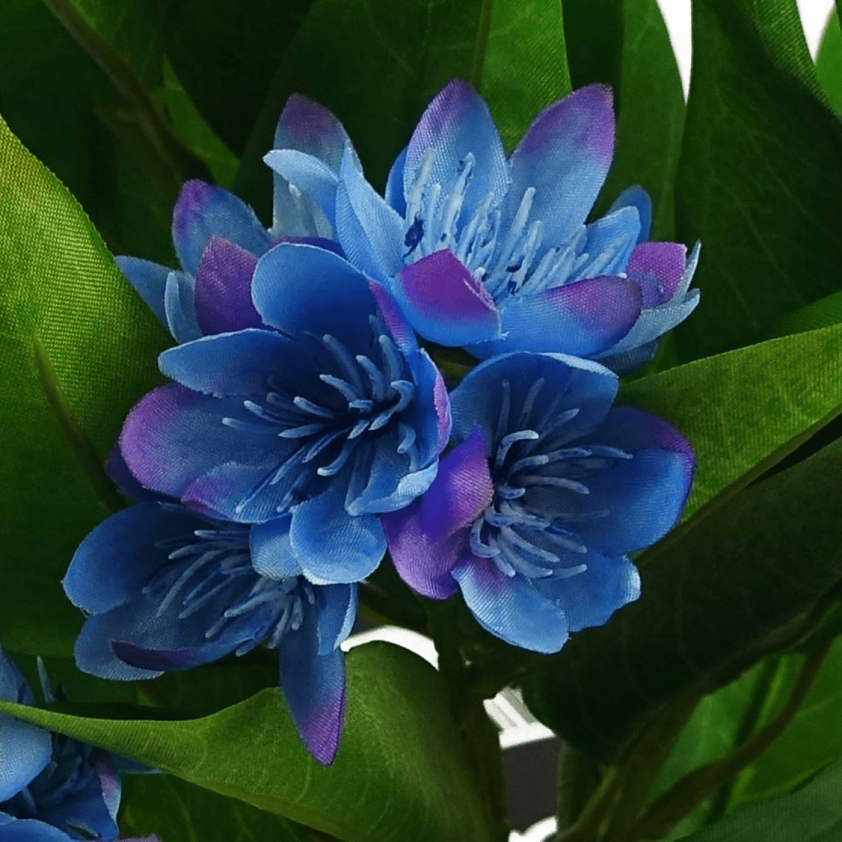 Vibrant 3 - Pack Artificial Freesia Plants - Pink, White & Blue Blossoms - plants - express.com