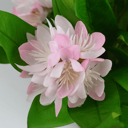 Vibrant 3 - Pack Artificial Freesia Plants - Pink, White & Blue Blossoms - plants - express.com