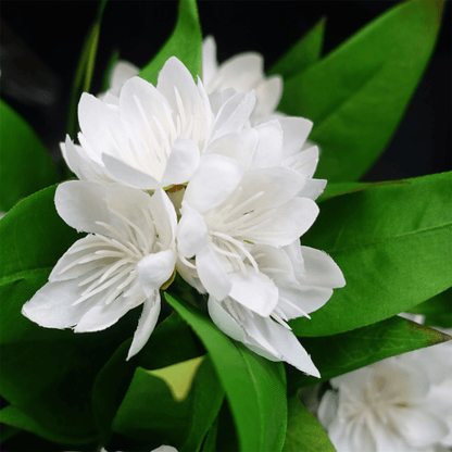 Vibrant 3 - Pack Artificial Freesia Plants - Pink, White & Blue Blossoms - plants - express.com