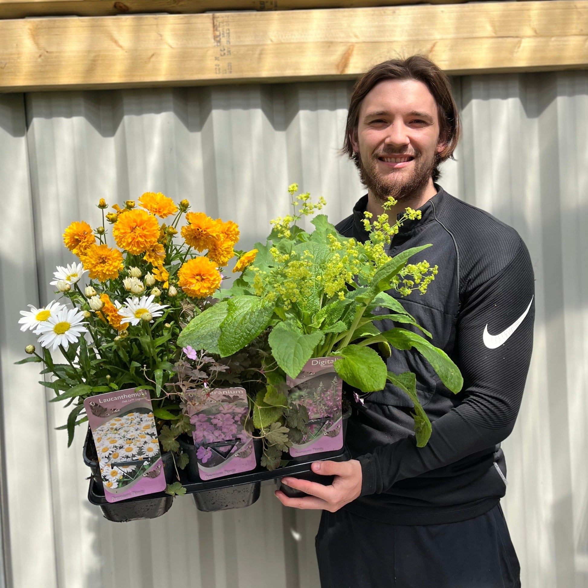 Vibrant 3 x 2L Perennial Plant Collection - Year - Round Color for £27.99! - plants - express.com