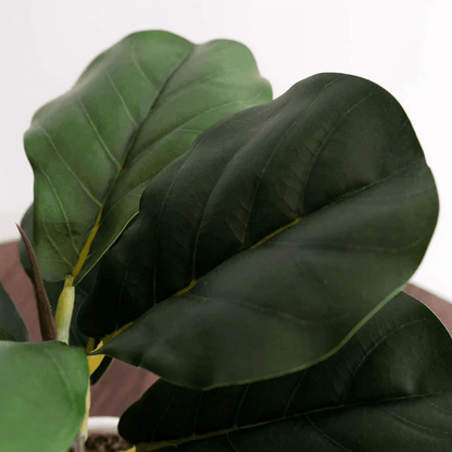 Vibrant 38cm Faux Fiddle Fig Plant - Effortless Greenery for Any Space - plants - express.com