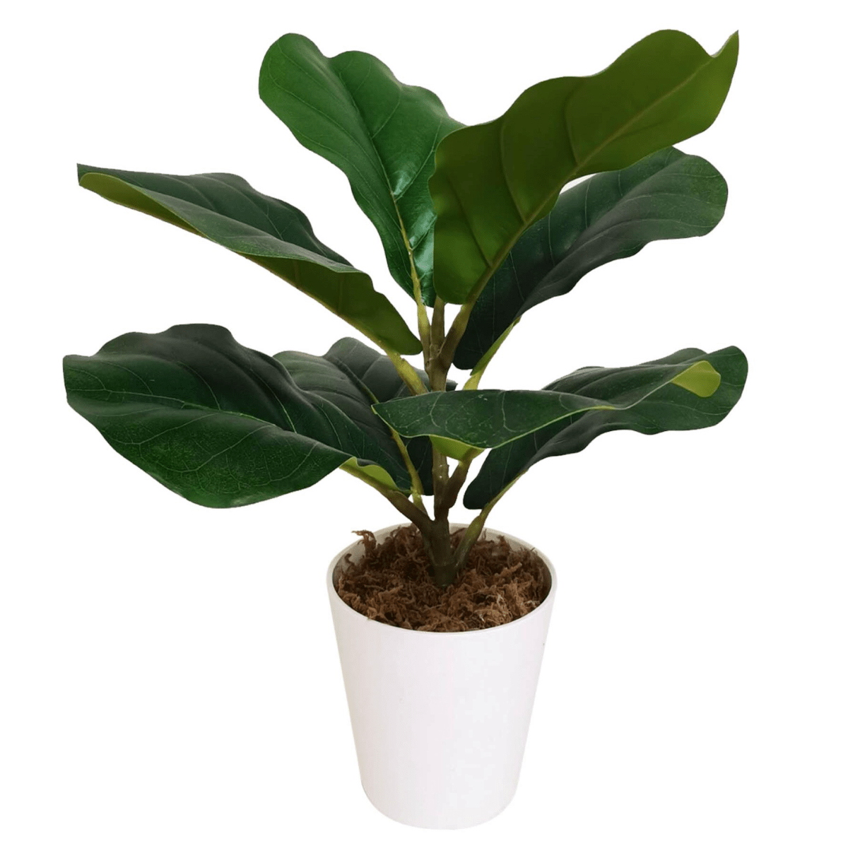 Vibrant 38cm Faux Fiddle Fig Plant - Effortless Greenery for Any Space - plants - express.com