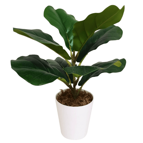 Vibrant 38cm Faux Fiddle Fig Plant - Effortless Greenery for Any Space - plants - express.com