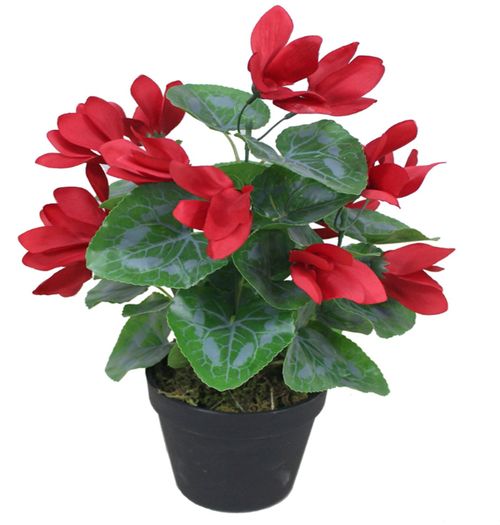 Vibrant 38cm Red Artificial Cyclamen Plant - Perfect Indoor Décor! - plants - express.com