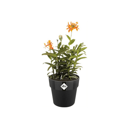 Vibrant 40cm Artificial Bamboo Palm Bush - Lush Green Home Décor - plants - express.com