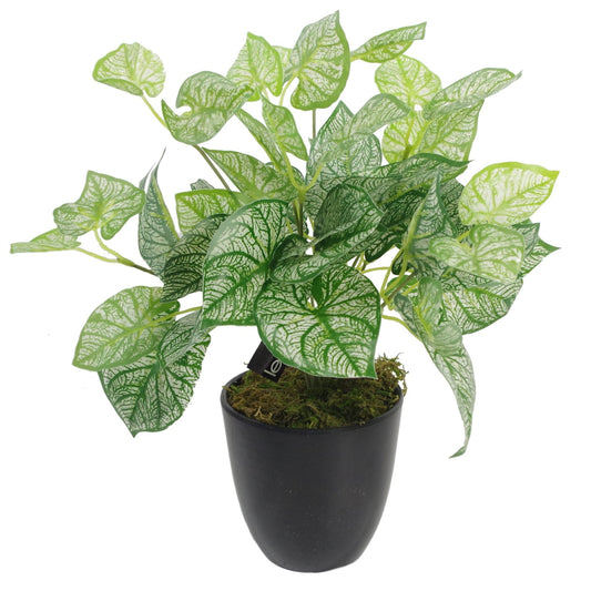 Vibrant 40cm Artificial Caladium Plant in Weighted Pot – Perfect Décor Piece! - plants - express.com