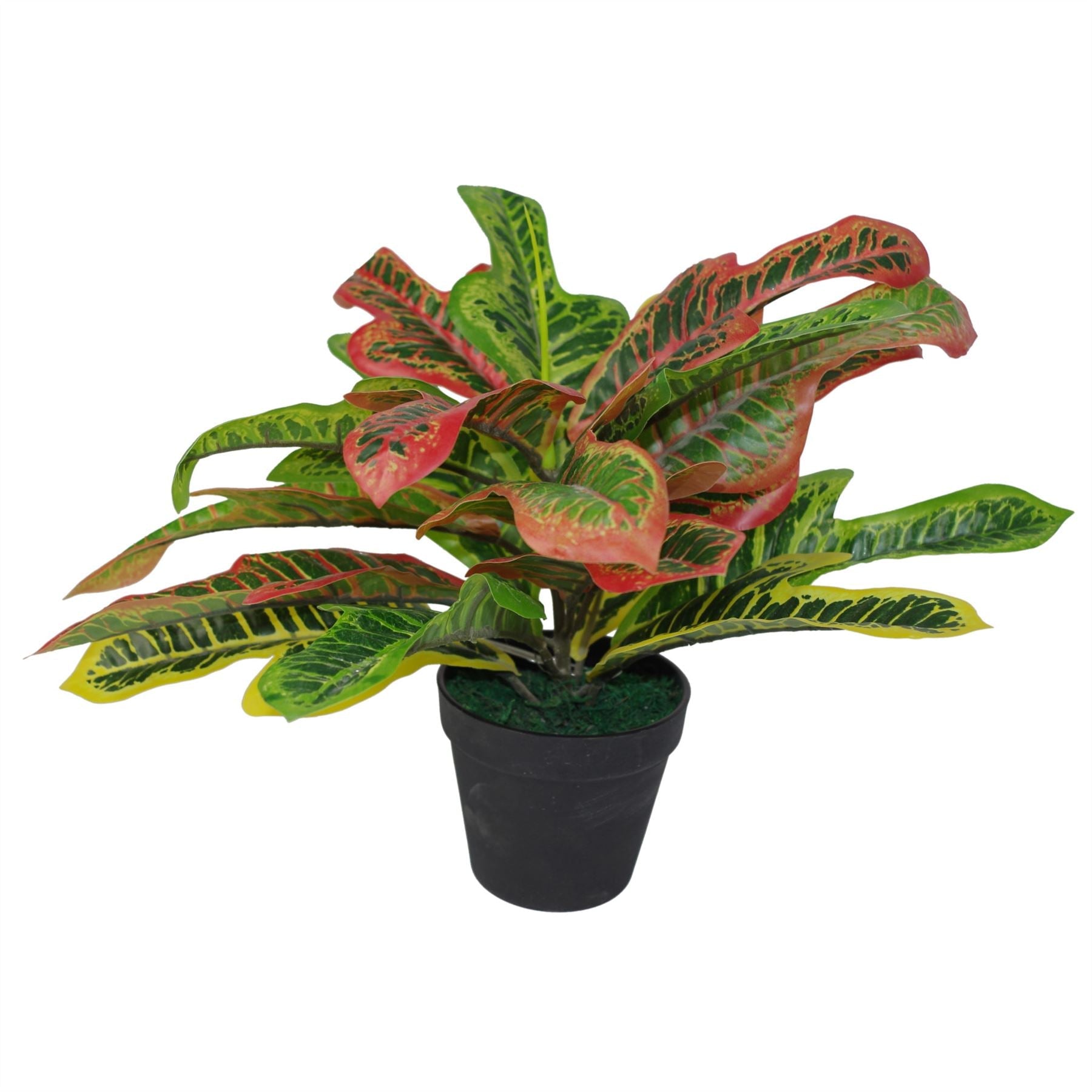 Vibrant 40cm Artificial Codiaeum - Exotic Croton Plant for Any Home - plants - express.com