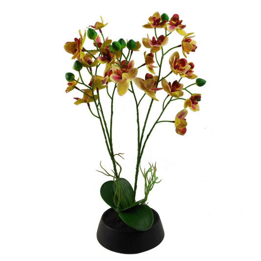 Vibrant 43cm Pink & Yellow Orchid in Stylish Ceramic Planter - Perfect Decor! - plants - express.com