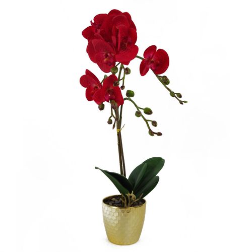 Vibrant 50cm Red Leopard Phalaenopsis Orchid in Elegant Gold Honeycomb Pot - plants - express.com